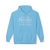 Not Promised A Tomorrow  - Unisex Midweight Softstyle Fleece Hoodie