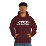 City Mail Carrier Hoodie - United States Postal Worker Postal Wear Post Office Shirt Postal Shirt Unisex