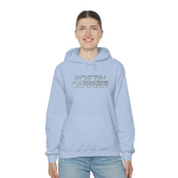 US Postal Carrier Hoodie - United States Postal Worker Postal Wear Post Office Shirt Postal Shirt Unisex